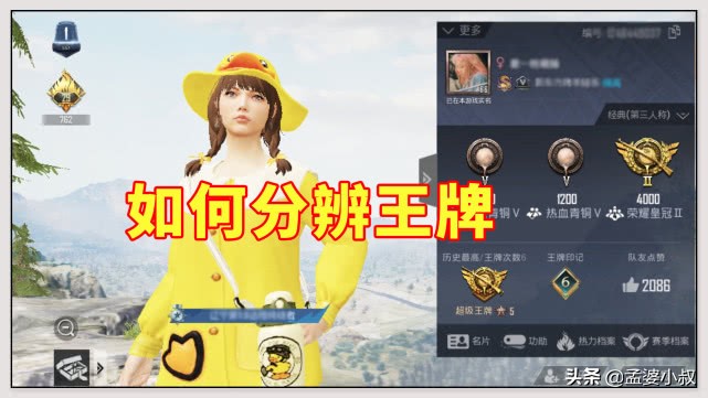 和平精英有哪些段位