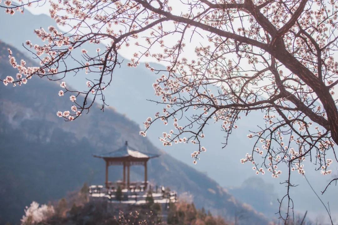 原神岩中幽谷怎么开