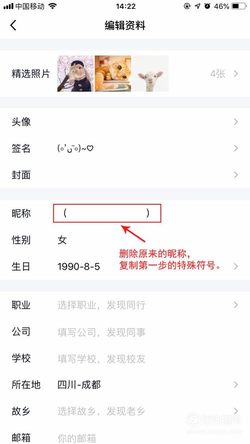 王者荣耀名字空白代码