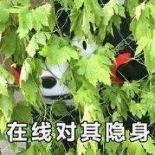 王者荣耀怎么设置隐身状态