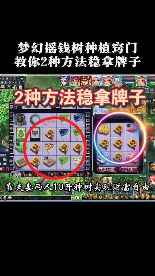 梦幻西游种子种植攻略