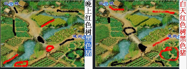 梦幻西游种子种植攻略