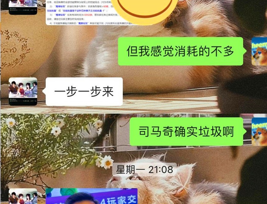 梦幻西游四神鼎之怨攻略最新